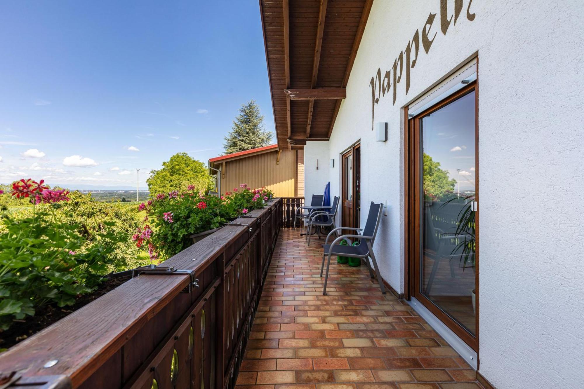 Apartamento Pappelhof Bad Bellingen Exterior foto